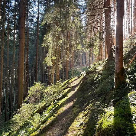 Alpenapartment Fuer Familien Und Gruppen Zentrale Lage 菲根