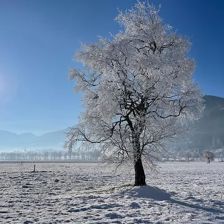 דירה Alpenapartment Fuer Familien Und Gruppen Zentrale Lage פוגן