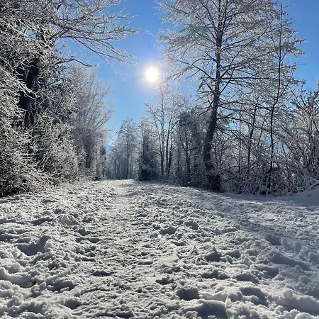 Alpenapartment Fuer Familien Und Gruppen Zentrale Lage Appartamento *