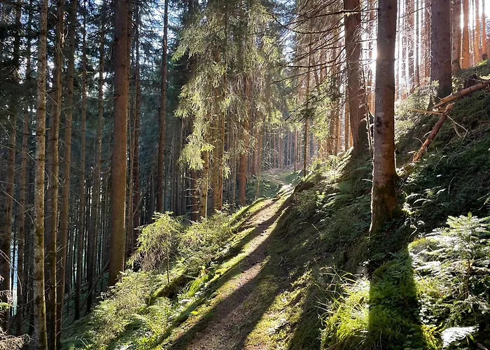 Alpenapartment Fuer Familien Und Gruppen Zentrale Lage Fügen