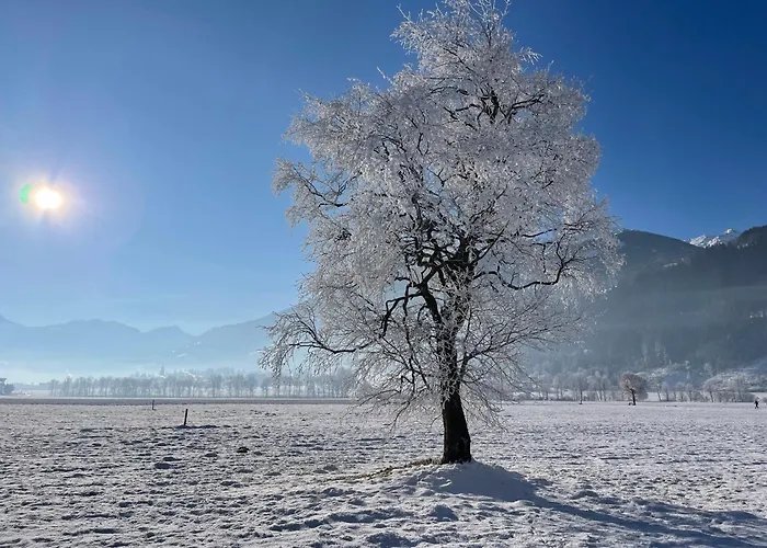 Lägenhet Alpenapartment Fuer Familien Und Gruppen Zentrale Lage Fügen