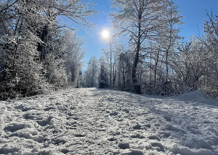 Alpenapartment Fuer Familien Und Gruppen Zentrale Lage Lägenhet *