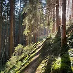 Alpenapartment Fuer Familien Und Gruppen Zentrale Lage Fügen